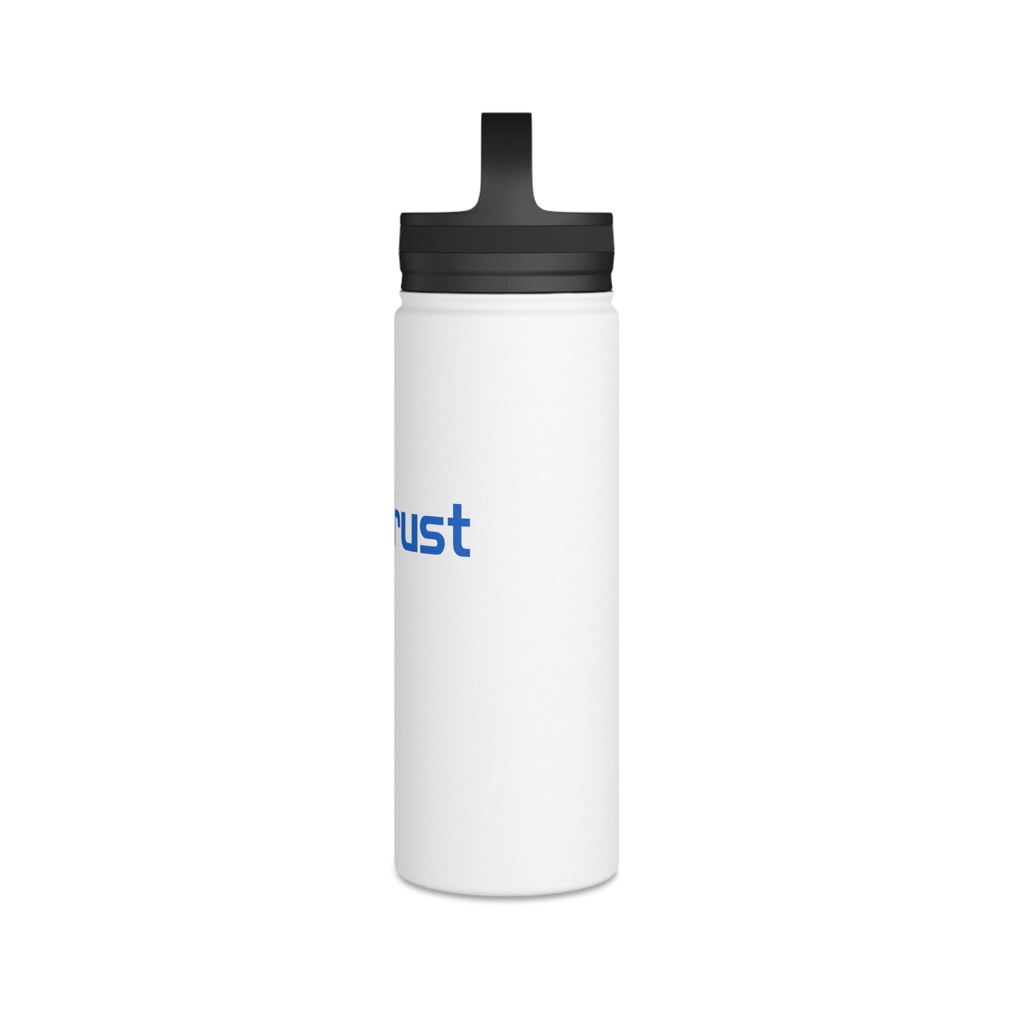 Stainless Steel Water Bottle, Handle Lid